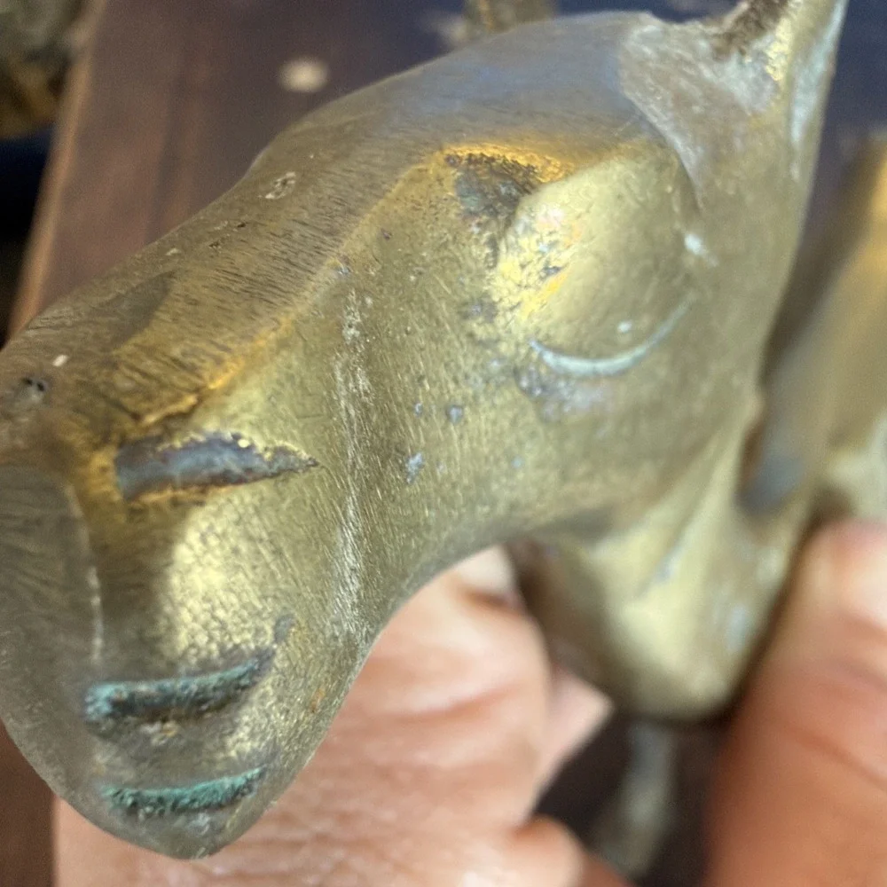 Brass Camel